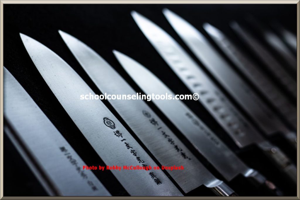 "best kitchen knives set